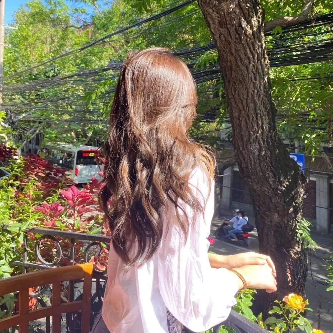 小白旗的风波封面