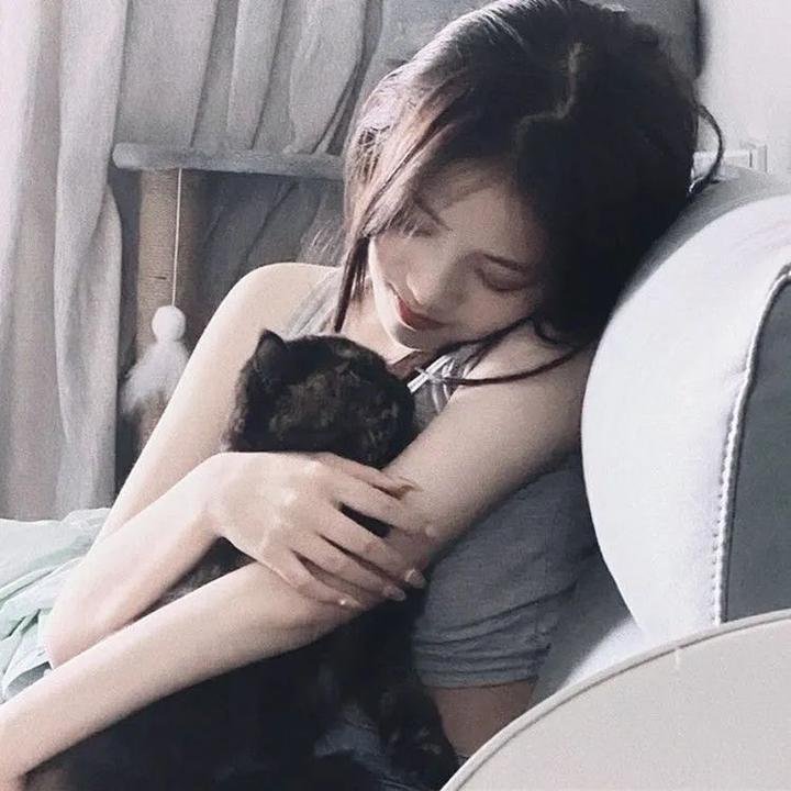 暗影猎人第二季封面