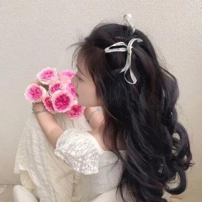荒谬无稽封面