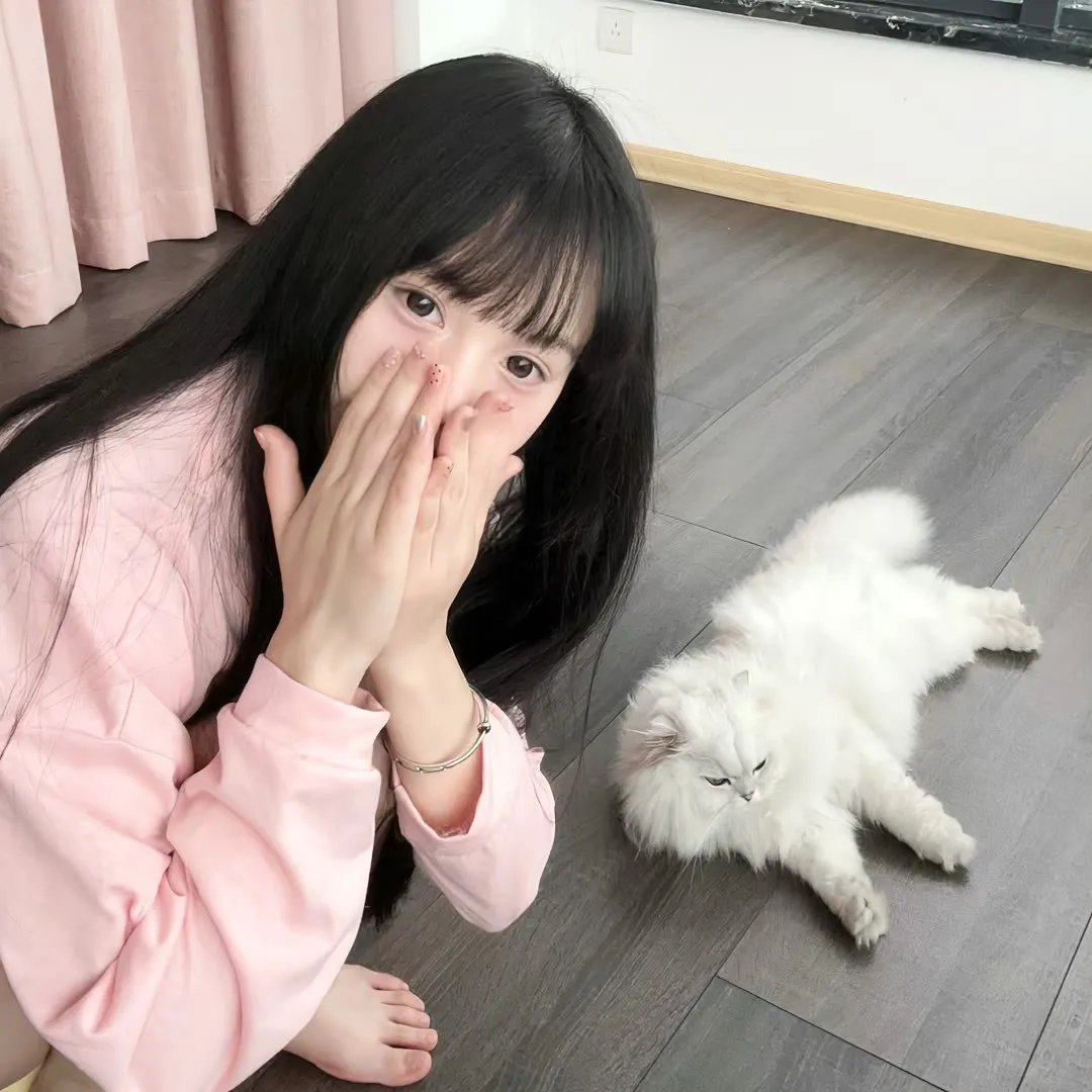 小狗之爱封面