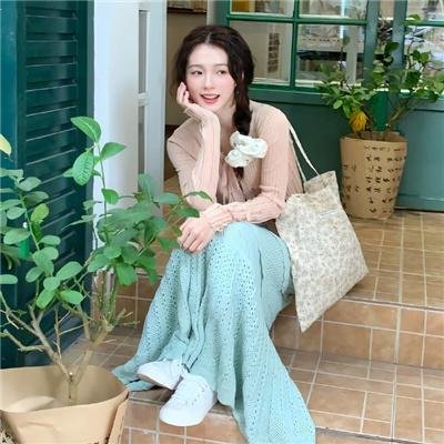 风流学生封面