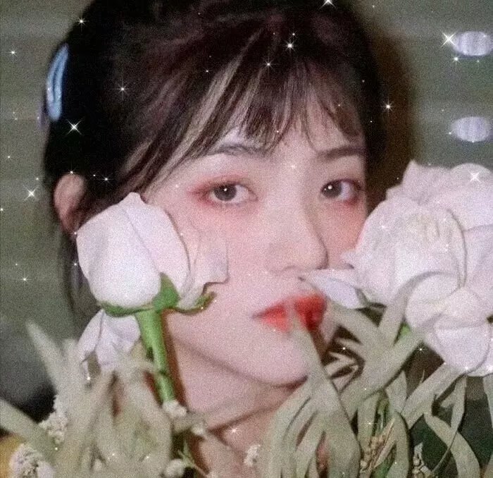 巾帼拳王封面