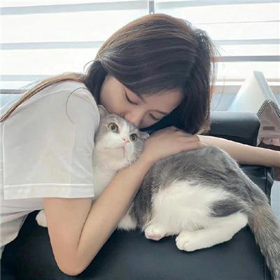 被炉、蜜桔和小猫封面